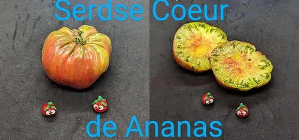 Tomaten: Serdse Coeur de Ananas