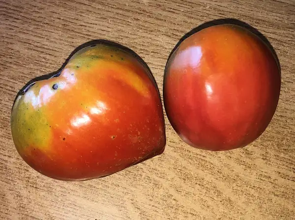Tomaten: Serdtse Ameriki