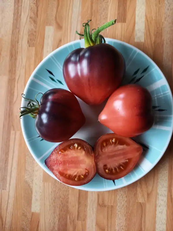 Tomaten: Sergant Peppers