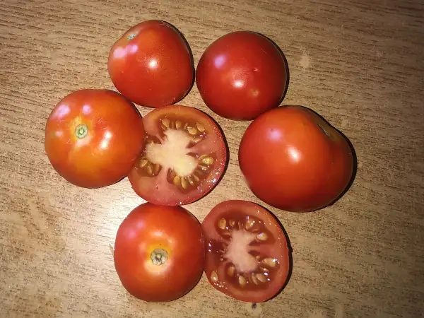 Tomaten: Severnaya Malyutka