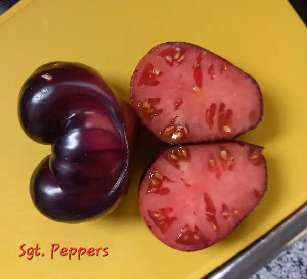 Tomaten: Sgt. Pepper