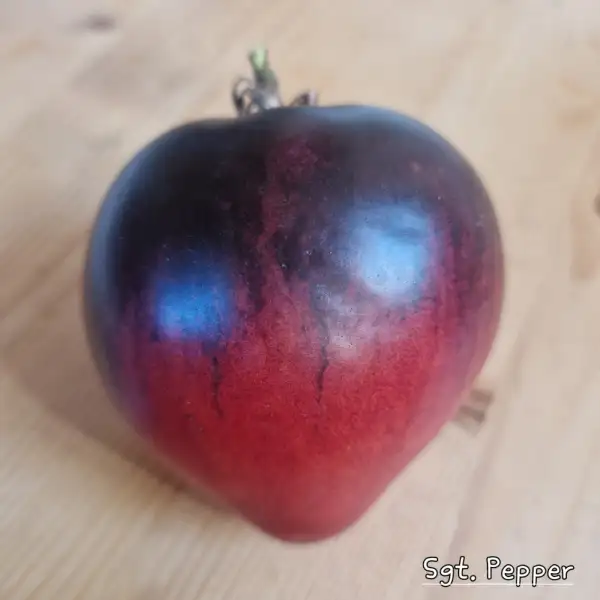 Tomaten: Sgt. Pepper