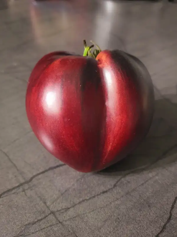 Tomaten: Sgt  Peppers