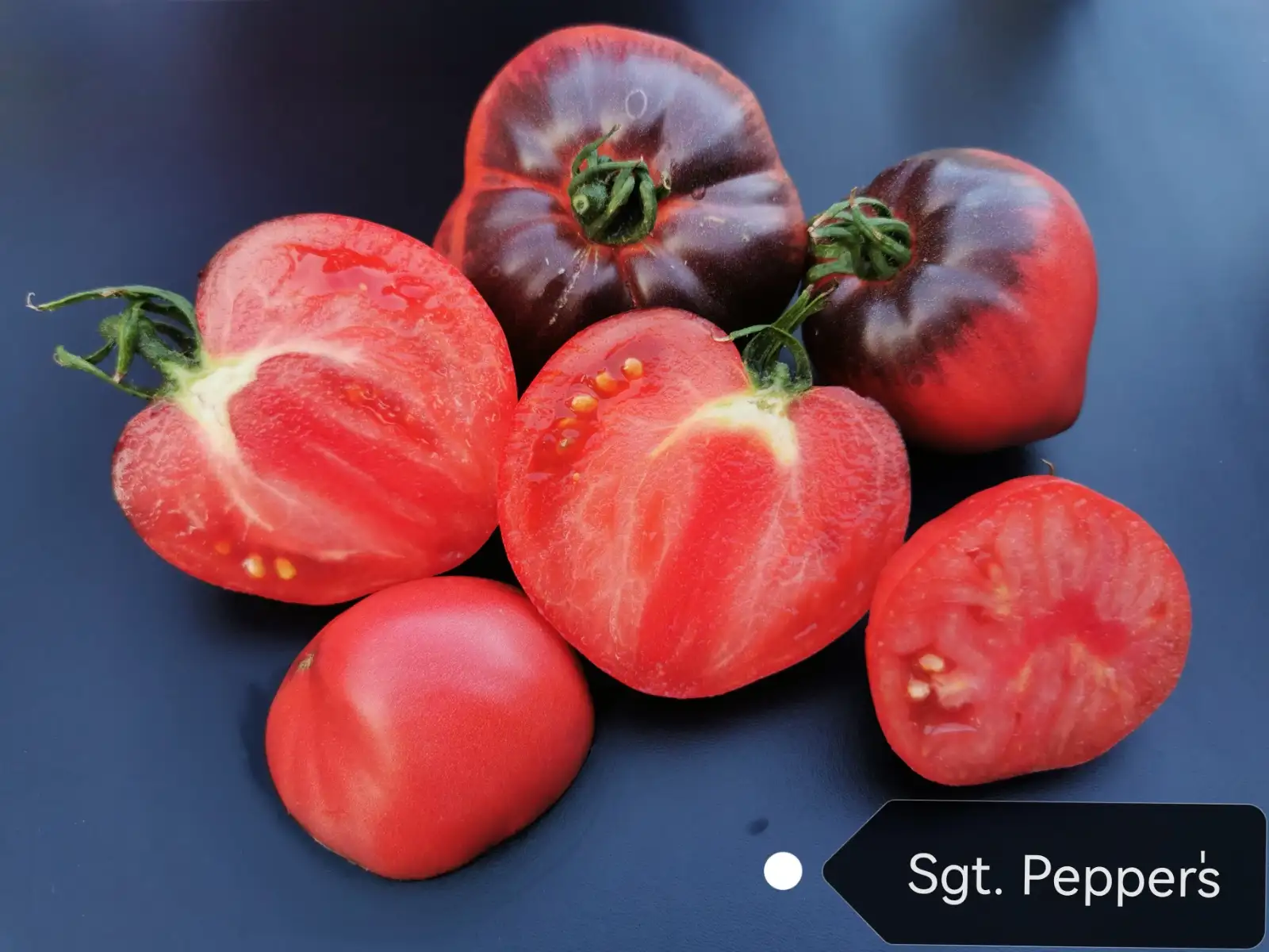 Tomaten: Sgt. Peppers