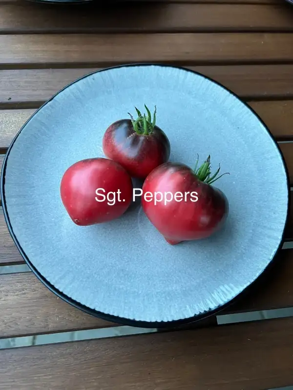 Tomaten: Sgt. Peppers