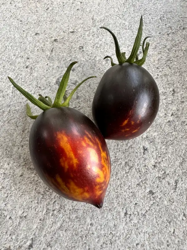 Tomaten: Shadow Boxing