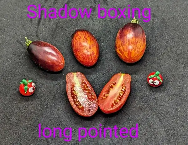 Tomaten: Shadow Boxing Long pointed