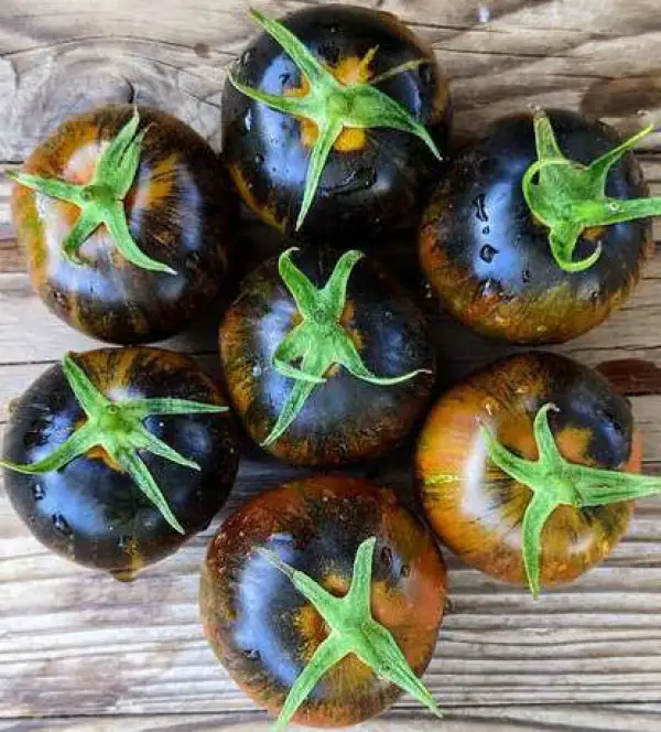 Tomaten: Shadow of Death