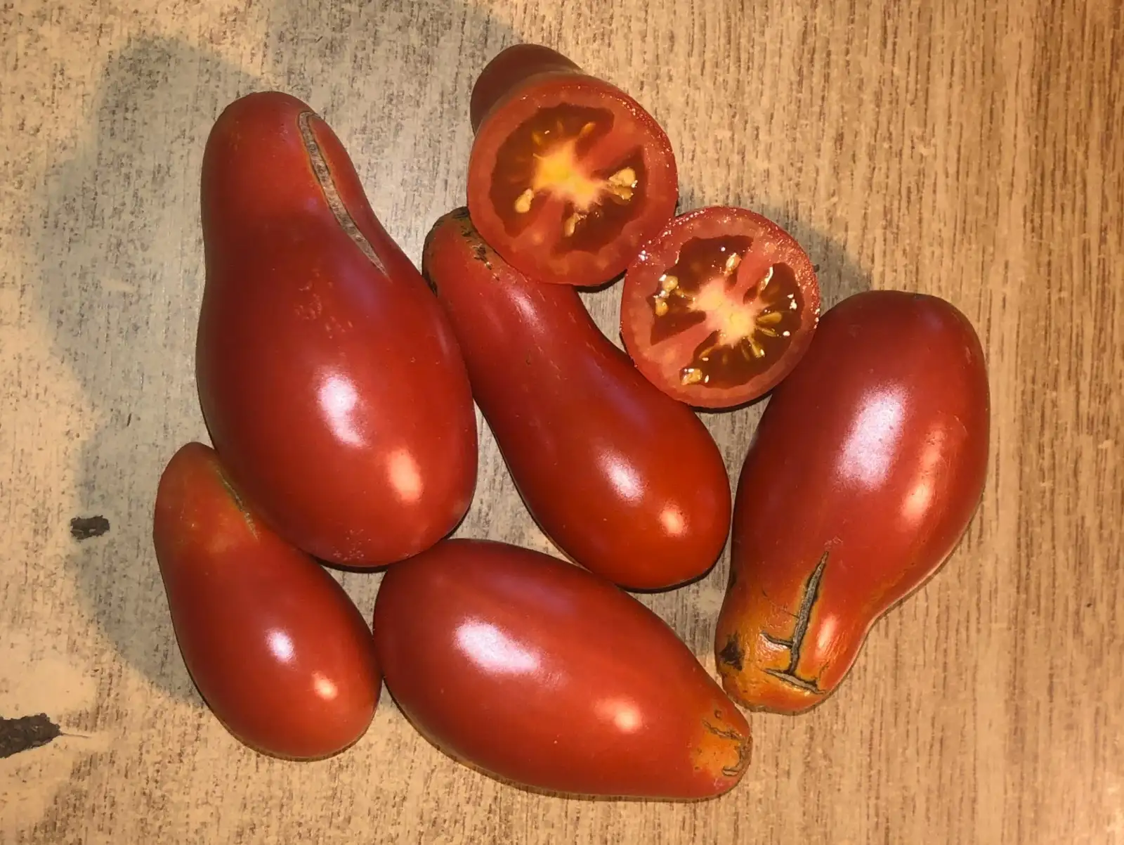 Tomaten: Shedra Sliva Tarasenko