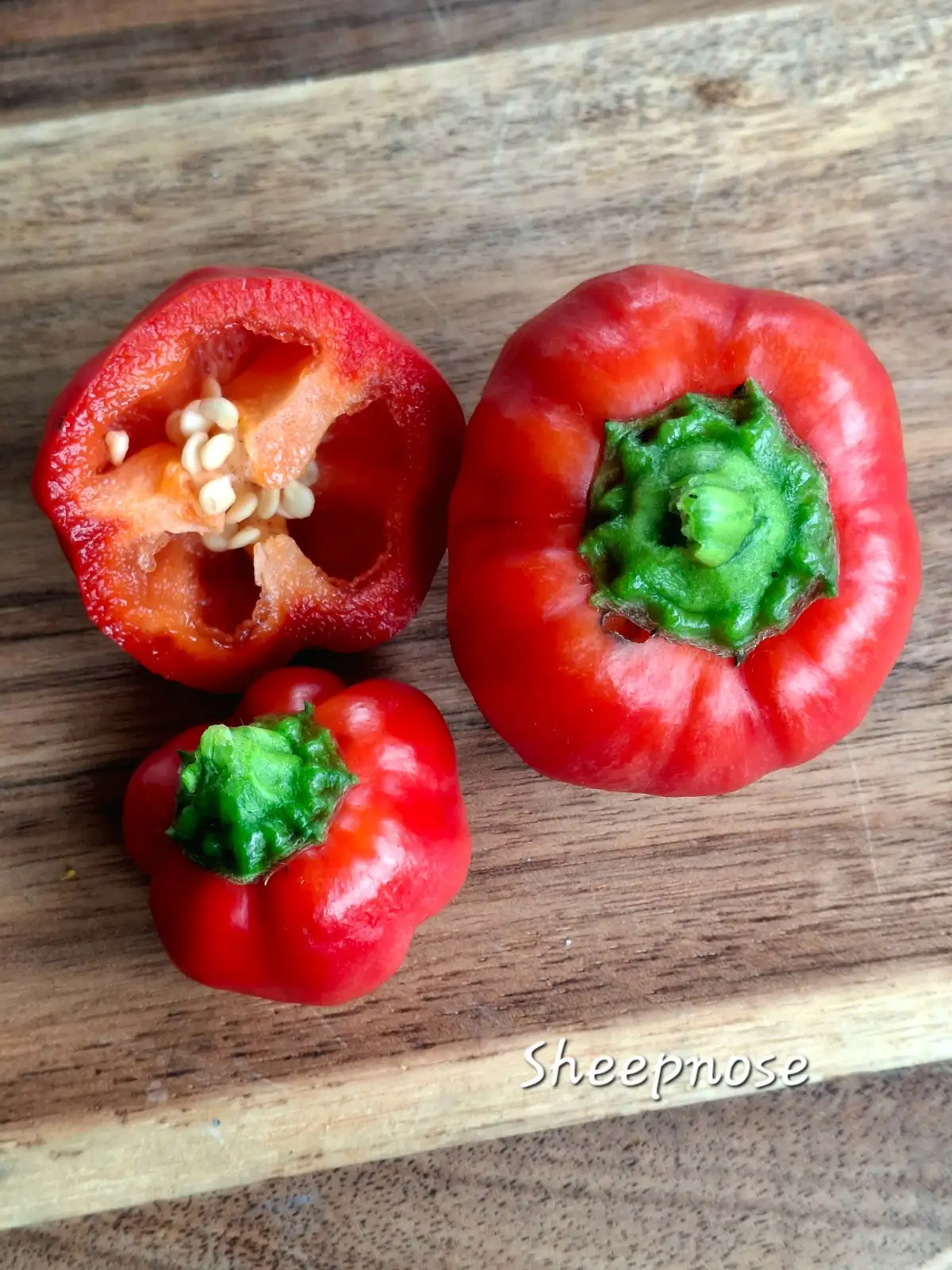 Chili / Paprika: Sheepnose