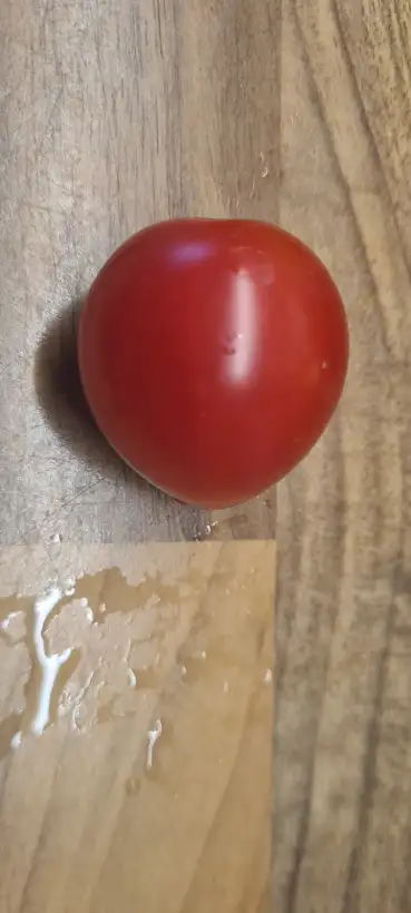 Tomaten: Shimofuri