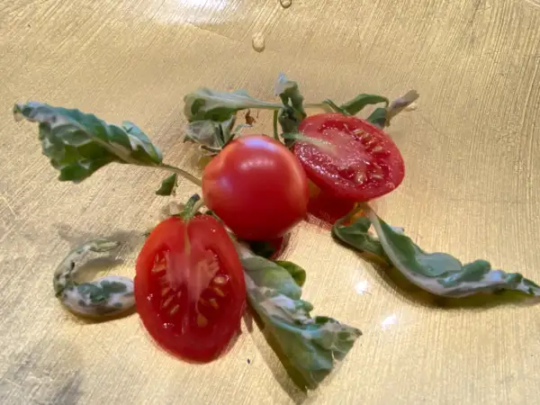 Tomaten: Shimofuri variegated