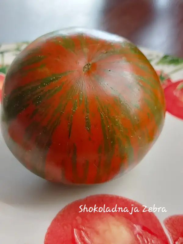 Tomaten: Shokoladnaja Zebra