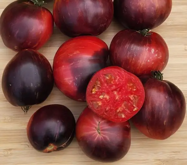 Tomaten: Showstopper