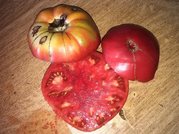 Tomaten: Shriver
