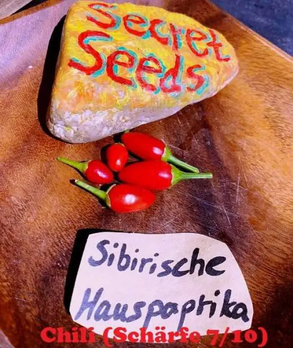 Chili / Paprika: Sibirische Hauspaprika (Schärfe 7/10)