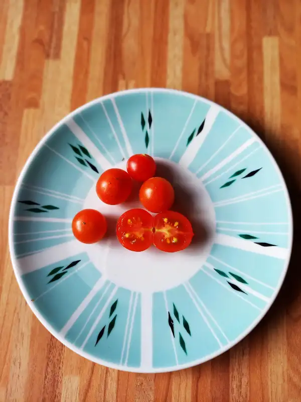 Tomaten: sibirische Zimmertomate