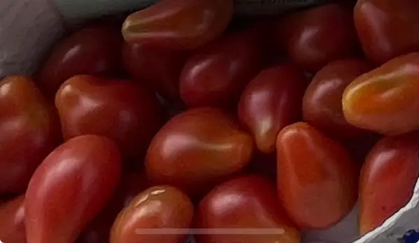 Tomaten: Sibirisches Birnchen