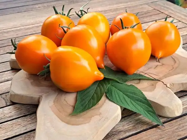 Tomaten: Sibirisches gelbes Herz