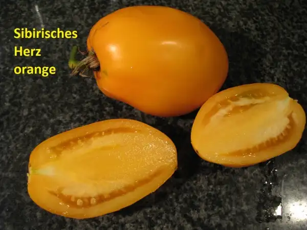 Tomaten: Sibirisches Herz orange