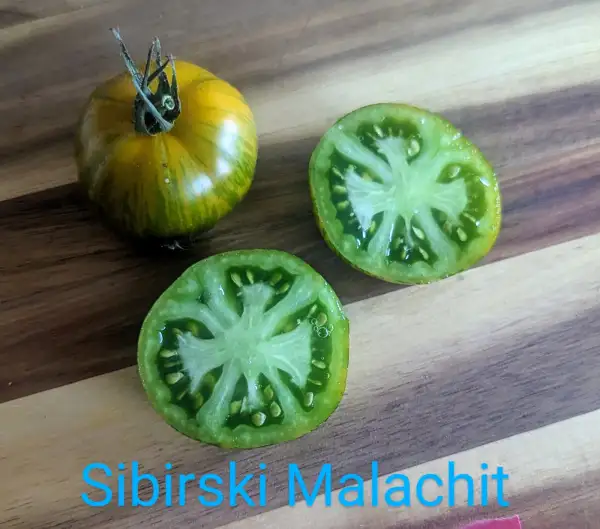 Tomaten: Sibirski Malachit