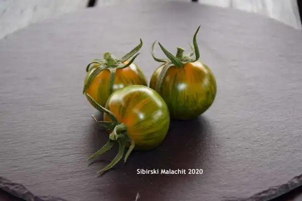 Tomaten: Sibirski Malachit