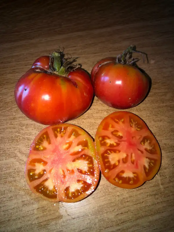 Tomaten: Sibirsky Velikan Rozovyl