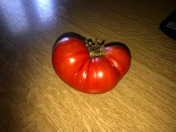 Tomaten: Sicilian Slicer