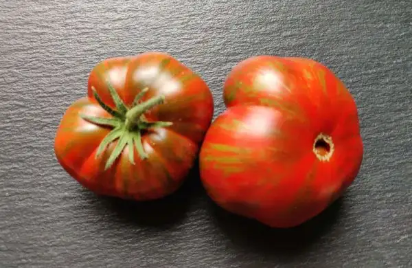 Tomaten: Siegel’s Dark Stripes