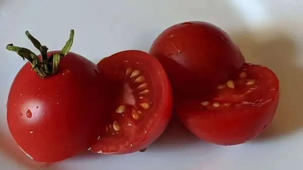 Tomaten: Sieger