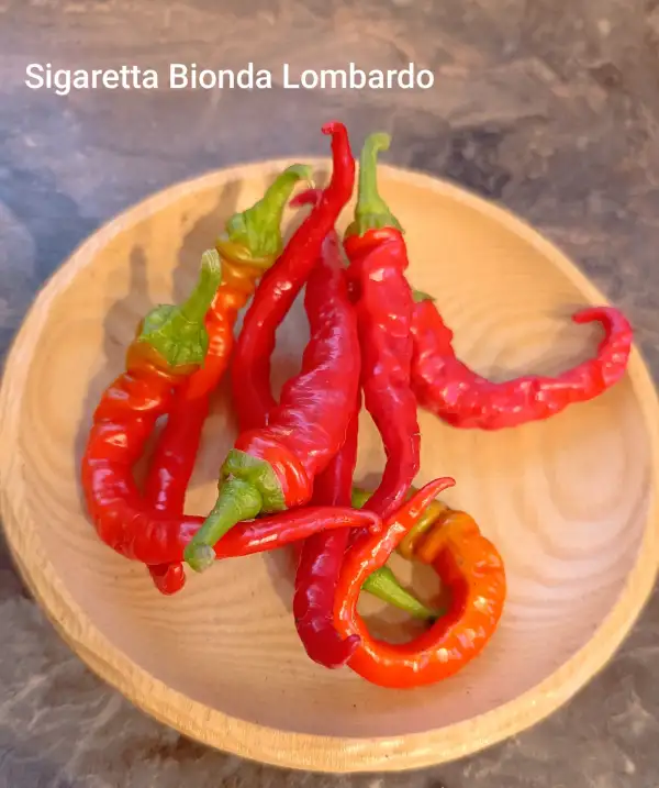Chili / Paprika: Sigaretta Bionda Lombardo