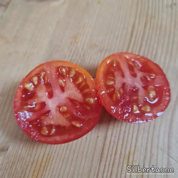 Tomaten: Silbertanne