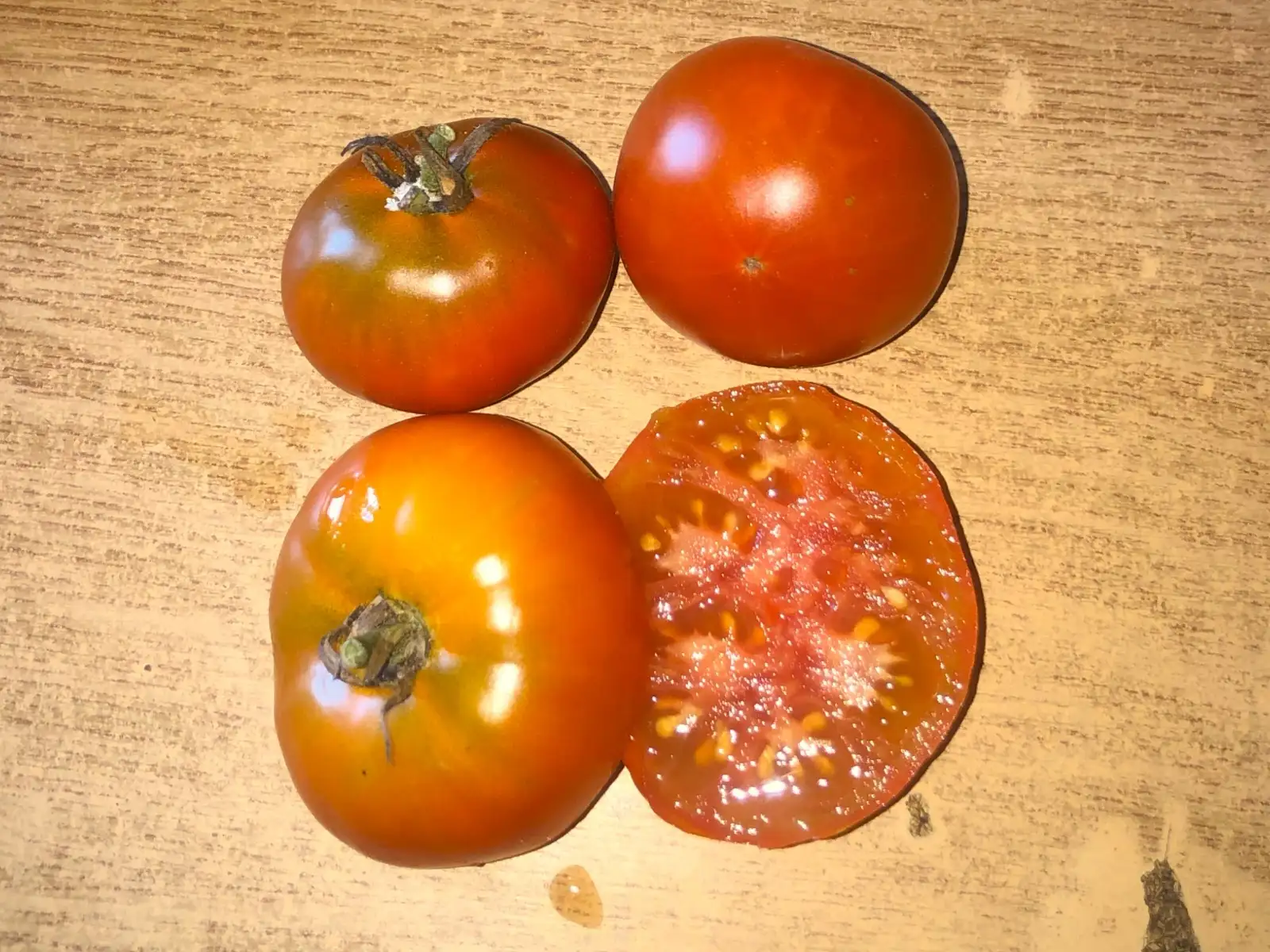 Tomaten: Silvery Fir Tree