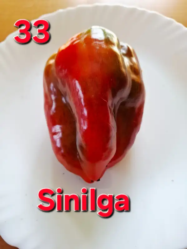 Chili / Paprika: Sinilga