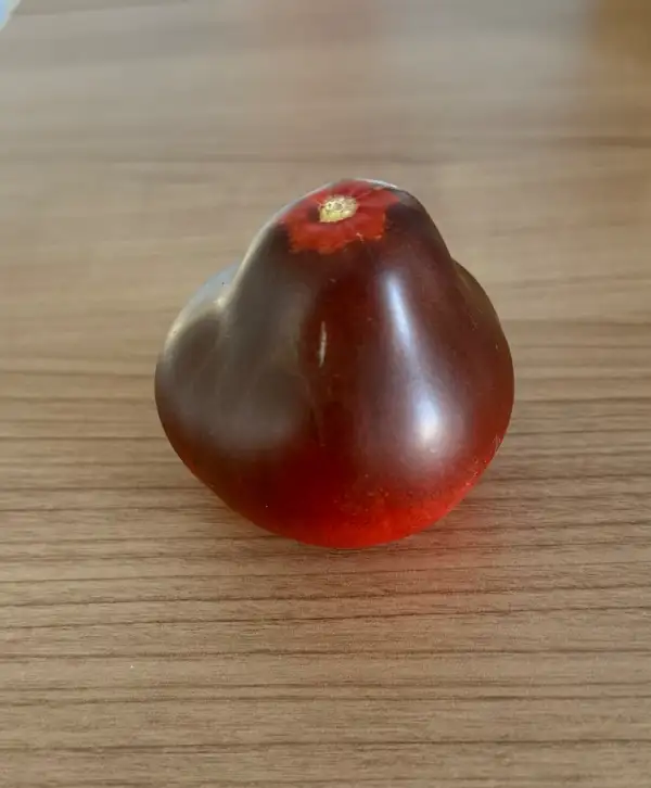 Tomaten: Sinyaya Grusha