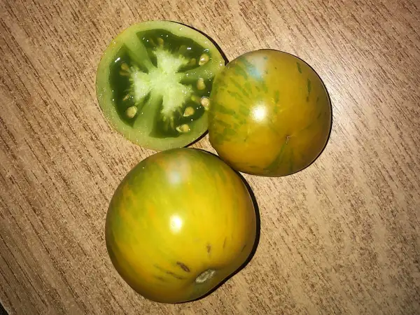 Tomaten: Sirloin of Zebra (green strain)