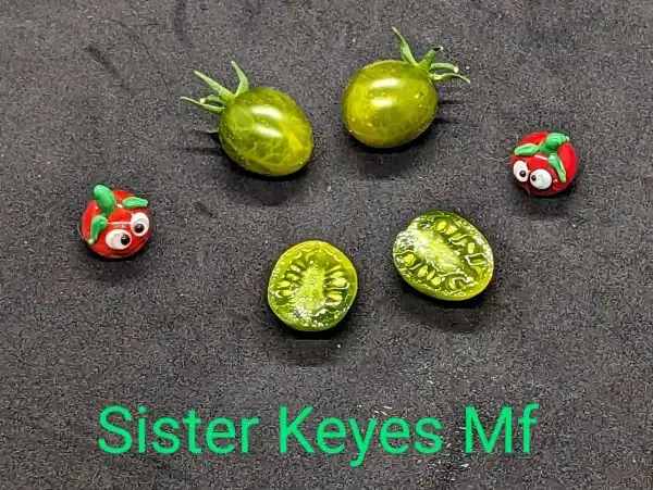 Tomaten: Sister Keyes Multiflora