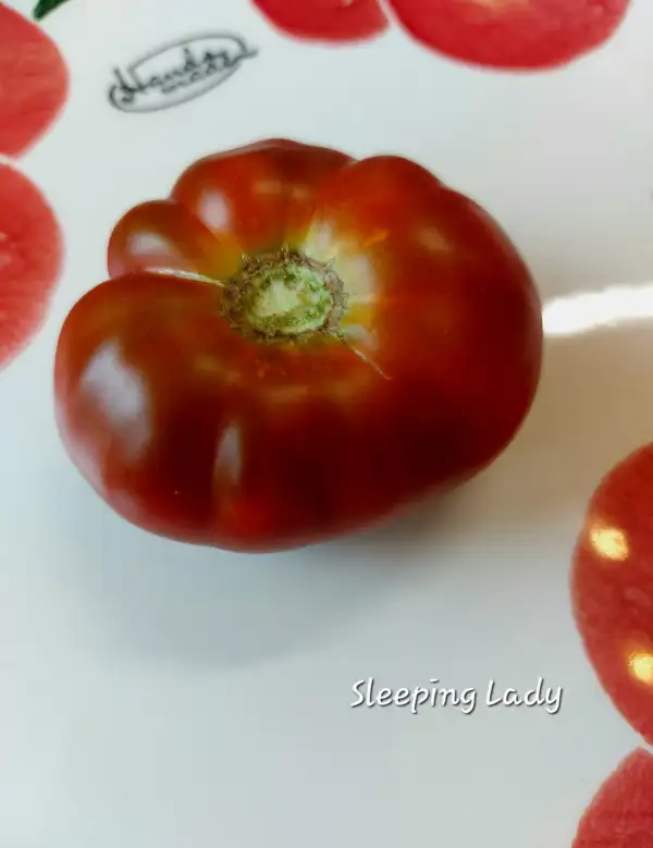 Tomaten: Sleeping Lady