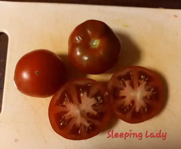 Tomaten: Sleeping Lady