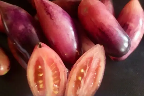 Tomaten: Slivka Gurman