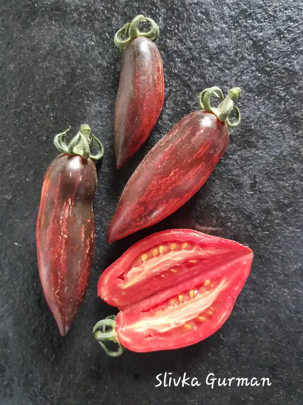 Tomaten: Slivka Gurman
