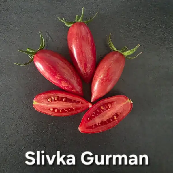 Tomaten: Slivka Gurman