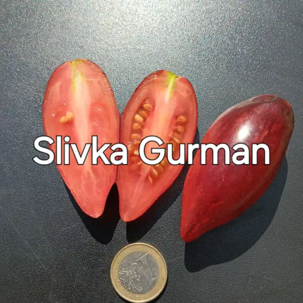 Tomaten: Slivka Gurman