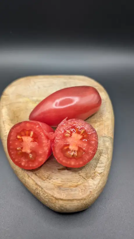 Tomaten: Slivka Gurman (rosa)