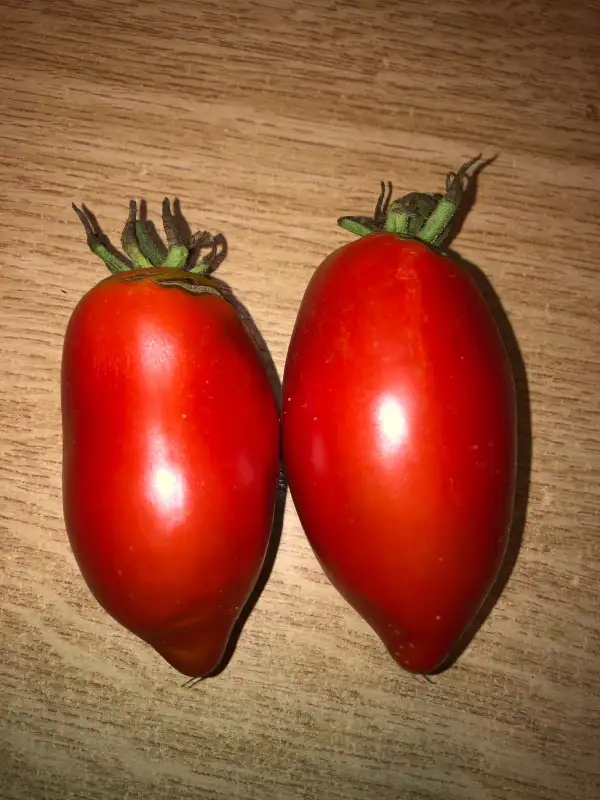 Tomaten: Slivkie Krupnie