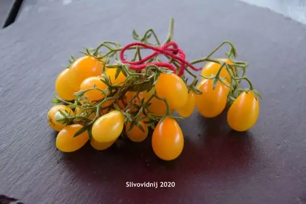 Tomaten: Slivowidnij