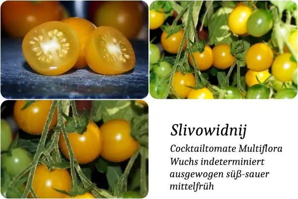 Tomaten: Slivowidnij