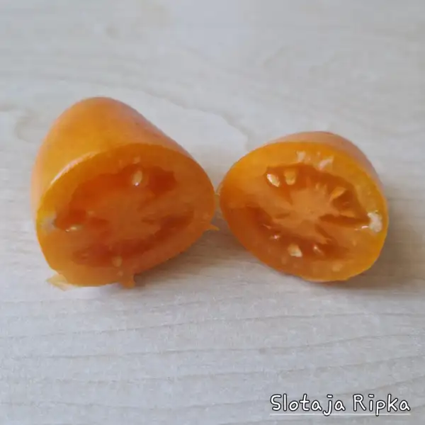 Tomaten: Slotaja Ribka