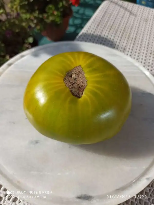 Tomaten: Smaragd Apfel