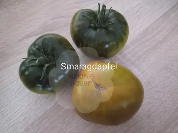 Tomaten: Smaragdapfel